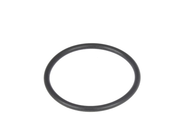 O-Ring zur Kolbenaufnahme Europiccola Professional Bild 1